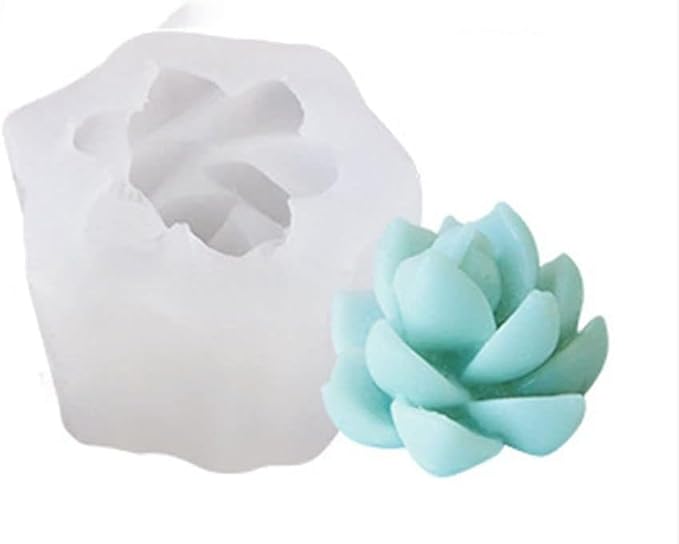 Succulent Mould