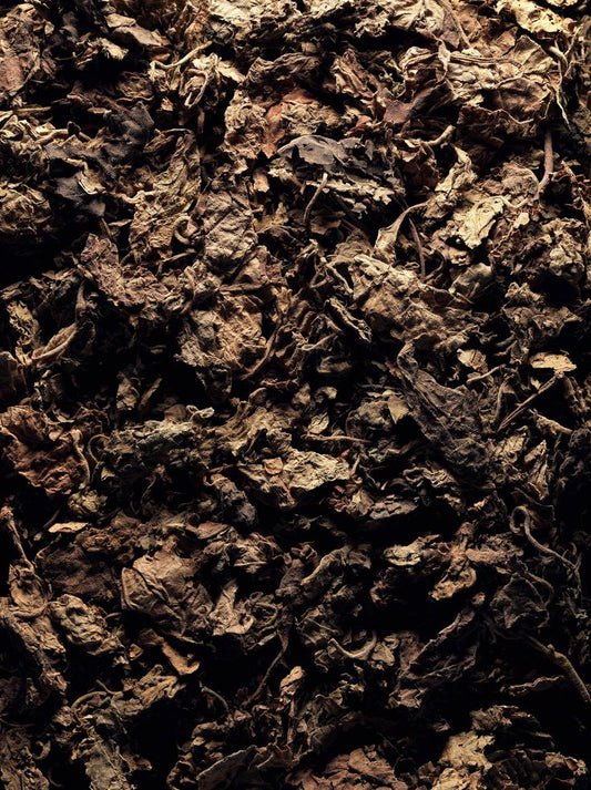 Gilli Mitti Fragrance Oil For Candle Making (Patchouli)