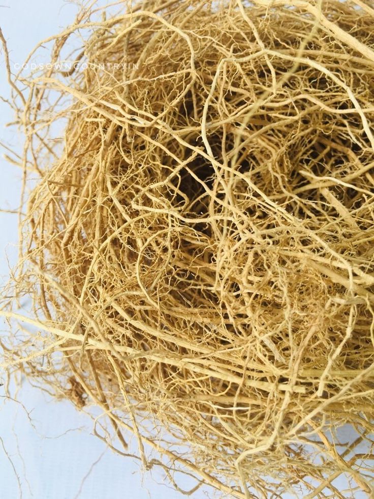 Vetiver Fragrance Oil | Candle Fragrances