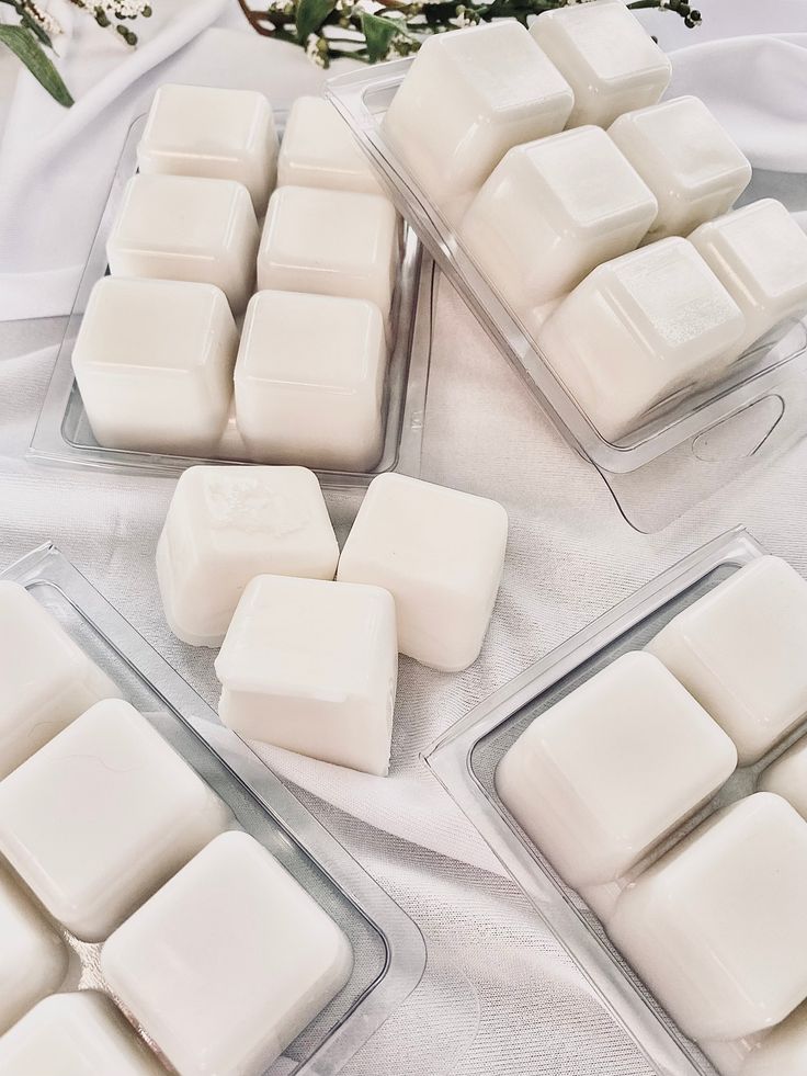 Wax Melts Containers Empty